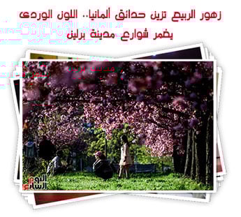 زهور الربيع تزين حدائق ألمانيا.. اللون الوردى يغمر شوارع مدينة برلين 