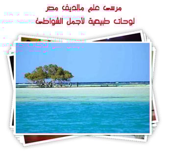 مرسى علم مالديف مصر.. لوحة طبيعية تجمع أجمل شواطئ وخلجان مصر