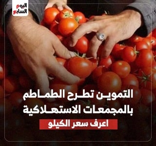 وزارة التموين تطرح الطماطم بمنافذ المجمعات الاستهلاكية.. اعرف أسعار اليوم