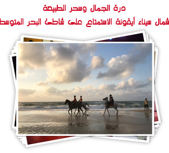 درة الجمال وسحر الطبيعة..  شمال سيناء أيقونة الاستمتاع على شاطئ البحر المتوسط