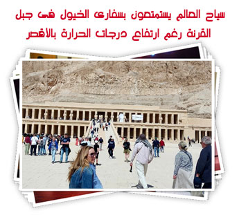 سياح العالم يستمتعون بسفارى الخيول فى جبل القرنة رغم ارتفاع درجات الحرارة بالأقصر