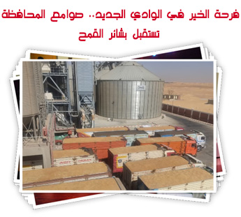 فرحة الخير في الوادي الجديد.. صوامع المحافظة تستقبل بشائر القمح