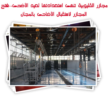 مجازر القليوبية تنهى استعدادتها لعيد الأضحى..فتح المجازر لاستقبال الأضاحى بالمجان