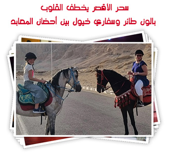 سحر الأقصر يخطف القلوب.. بالون طائر وسفاري خيول بين أحضان المعابد