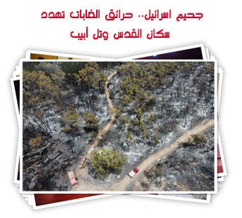 جحيم اسرائيل.. حرائق الغابات تهدد سكان القدس وتل أبيب