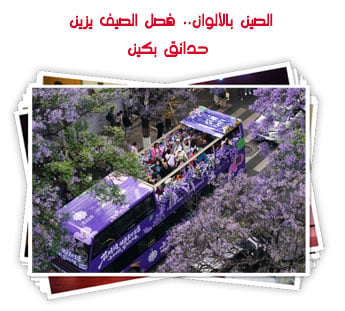 الصين بالألوان.. فصل الصيف يزين حدائق بكين