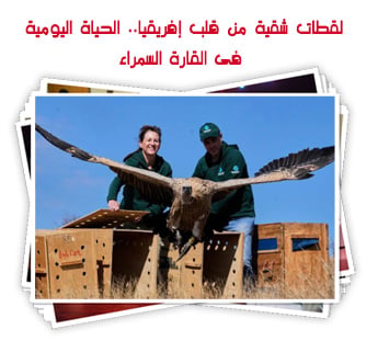 لقطات شقية من قلب إفريقيا.. الحياة اليومية فى القارة السمراء