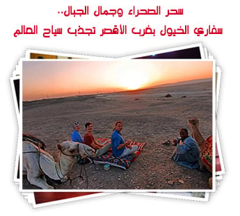 سحر الصحراء وجمال الجبال.. سفاري الخيول بغرب الأقصر تجذب سياح العالم