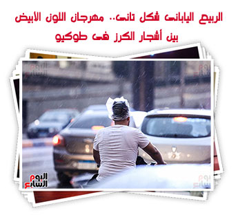 أجواء ممطرة بالقاهرة والجيزة وشرق البلاد وشمال الصعيد