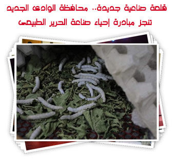 قلعة صناعية جديدة.. محافظة الوادى الجديد تنجز مبادرة إحياء صناعة الحرير الطبيعى