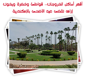 أشهر أماكن الخروجات.. شواطئ وخضرة ويخوت إزاى تقضى عيد الأضحى بالإسكندرية