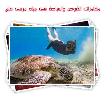 مغامرات الغوص والسباحة بشواطئ مرسى علم
