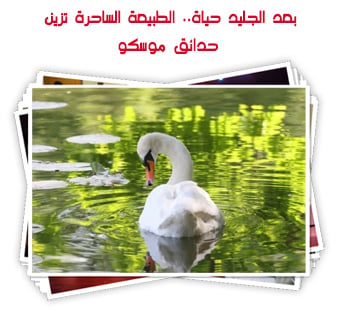 بعد الجليد حياة.. الطبيعة الساحرة تزين حدائق موسكو