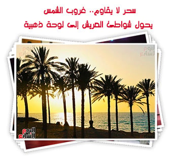 سحر لا يقاوم.. غروب الشمس يحول شواطئ العريش إلى لوحة ذهبية