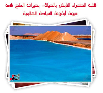 قلب الصحراء النابض بالحياة.. بحيرات الملح فى سيوة أيقونة السياحة العالمية