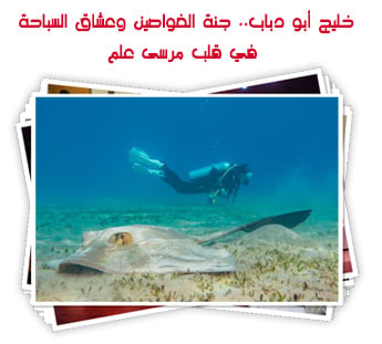 خليج أبو دباب.. جنة الغواصين وعشاق السباحة في قلب مرسى علم