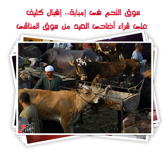 سوق اللحم فى إمبابة.. إقبال كثيف على شراء أضاحى العيد من سوق المناشى