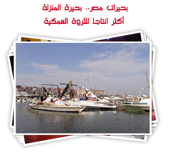 بحيرات مصر.. بحيرة المنزلة أكثر انتاجا للثروة السمكية