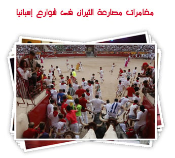 مغامرات مصارعة الثيران فى شوارع إسبانيا