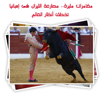 مغامرات مثيرة.. مصارعة الثيران فى إسبانيا تخطف أنظار العالم