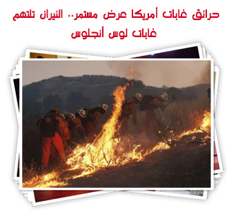 حرائق غابات أمريكا عرض مستمر.. النيران تلتهم غابات لوس أنجلوس