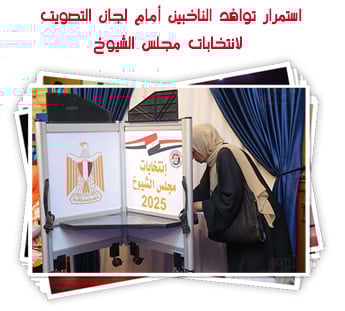 استمرار توافد الناخبين أمام لجان التصويت لانتخابات مجلس الشيوخ