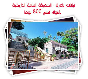 نباتات نادرة.. الحديقة النباتية التاريخية بأسوان تضم 800 نوعا