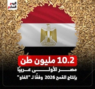 مجلس الوزراء: مصر الأولى عربيًا في إنتاج القمح خلال عام 2026 وفقًا لـ "الفاو"