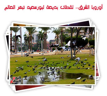 أوروبا الشرق.. لقطات بديعة لبورسعيد تبهر العالم