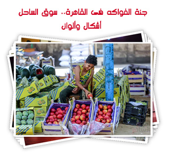 جنة الفواكه فى القاهرة.. سوق الساحل أشكال وألوان