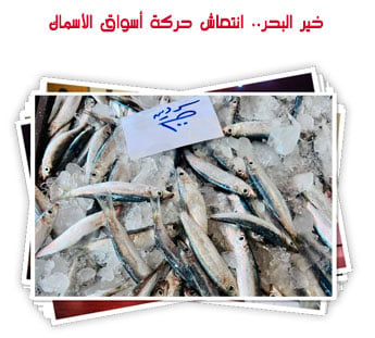 خير البحر.. انتعاش حركة أسواق الأسماك