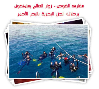 سفارى الغوص.. زوار العالم يستمتعون برحلات الجزر البحرية بالبحر الأحمر