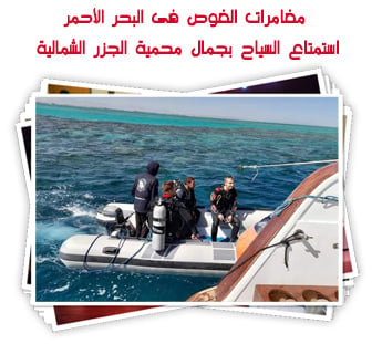 مغامرات الغوص فى البحر الأحمر.. استمتاع السياح بجمال محمية الجزر الشمالية 