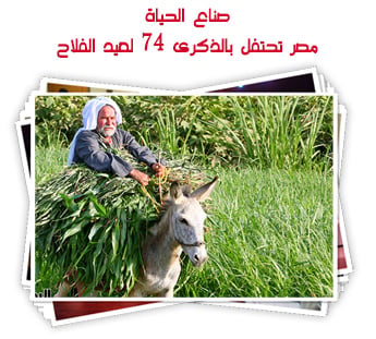 صناع الحياة.. مصر تحتفل بالذكرى 74 لعيد الفلاح