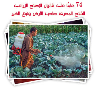 74 عامًا على قانون الإصلاح الزراعى.. الفلاح المصرى صاحب الأرض ونبع الخير
