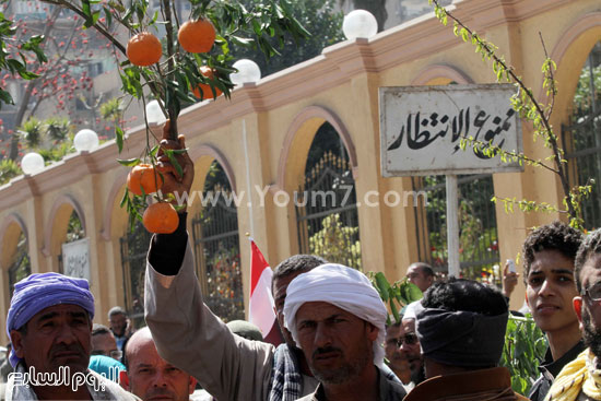 	 فلاحو السادات يتظاهرون أمام وزارة الزراعة