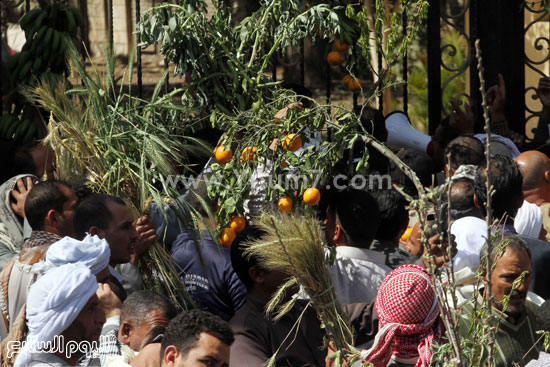 	 غضب فلاحى السادات بعد إلحاق الخسائر بهم أراضيهم يتصاعد امام وزارة الزراعة 