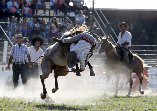 مشارك يسقط من على حصانه أثناء المسابقة 