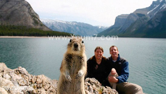 ميليسا براندتس وزوجها سعداء بظهور السنجاب معهم فى صورة تم عطلتهم فى حديقة بانف الوطنية فى كندا 2009.