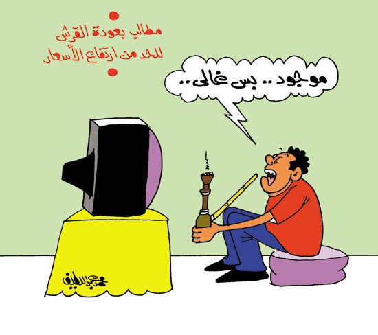 عودة القرش فى كاريكاتير اليوم السابع