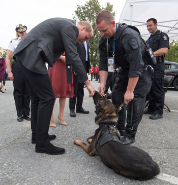 •	 الأمير وليام  يداعب أحد الكلاب البوليسية فى كندا