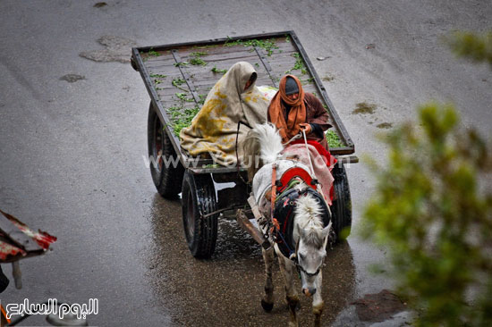 اليوم السابع -1 -2016