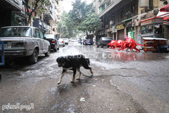 اليوم السابع -1 -2016