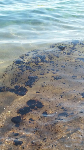 انتشار بقعة زيت بشواطئ نويبع (3)