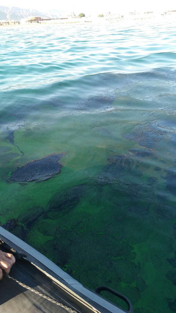 انتشار بقعة زيت بشواطئ نويبع (4)