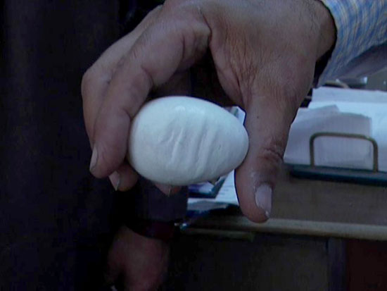 محافظ المنيا، بيضة منقوش اسم الله عليها، الدكتور مدحت عبد الوهاب، محطة دواجن شوشة، لفظ الجلالة (3)