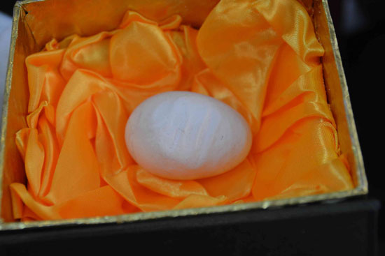 محافظ المنيا، بيضة منقوش اسم الله عليها، الدكتور مدحت عبد الوهاب، محطة دواجن شوشة، لفظ الجلالة (4)