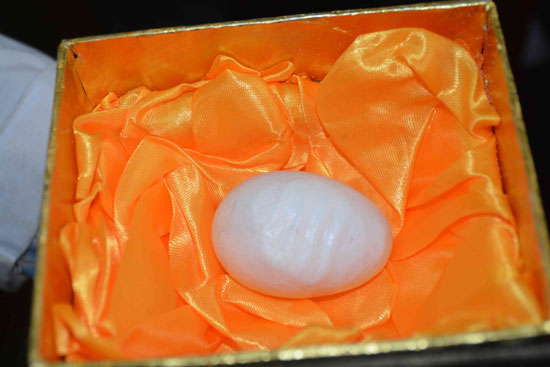 محافظ المنيا، بيضة منقوش اسم الله عليها، الدكتور مدحت عبد الوهاب، محطة دواجن شوشة، لفظ الجلالة (5)