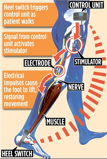 الجهاز-الجديد الجهاز-الجديد