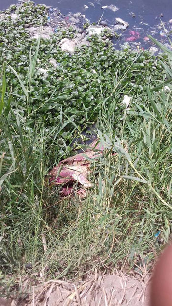 المضبوطات-(4)